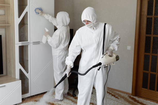 24/7 Emergency Odor Removal experts in Marshall, WA