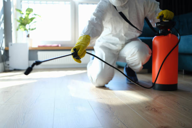 Reliable Odor Removal contractor in Marshall, WA by Trauma Clean Pros